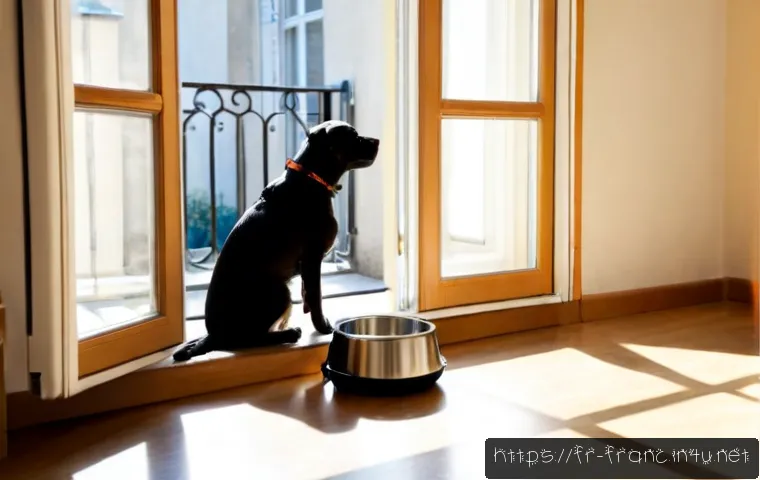 Home 17 프랑스에서 반려동물 키우는 법 - Photorealistic French apartment lifestyle scene, a responsible adult sitting beside a small dog on a...